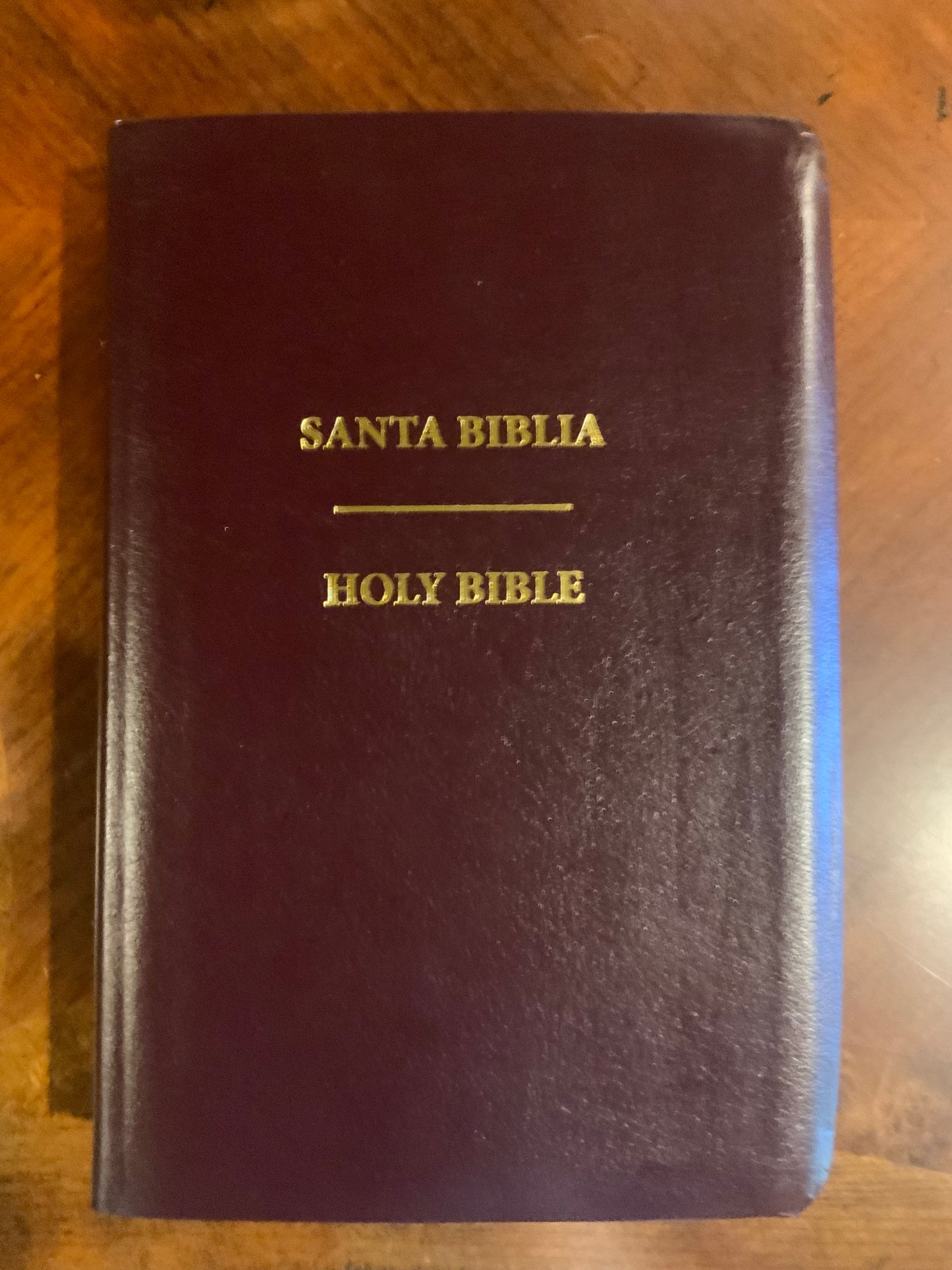 Geneva Bible in Spanish and English!