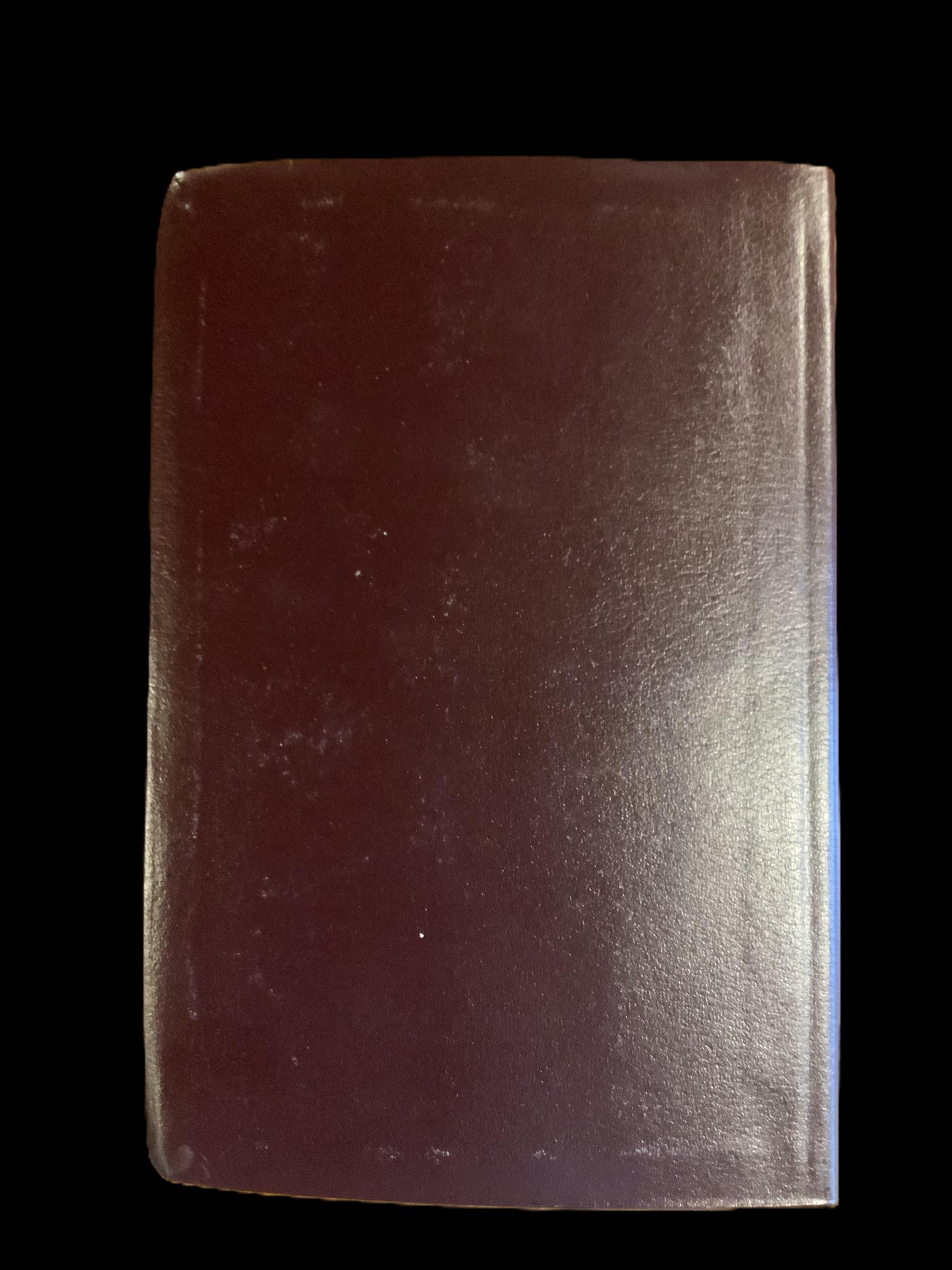 Geneva Bible in Spanish and English!