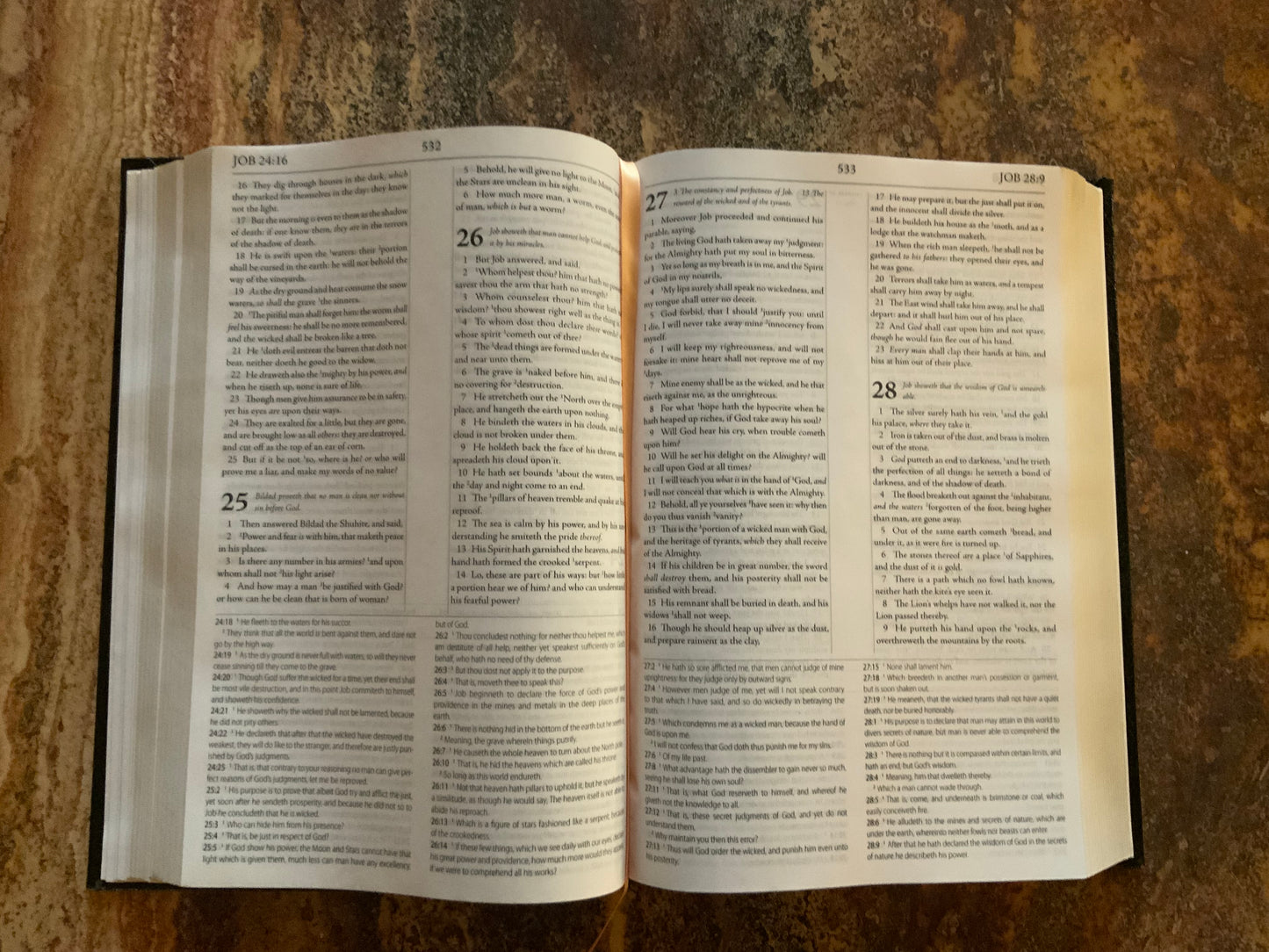 1599 Geneva Bible Leather Bounded Edition (Hardback)