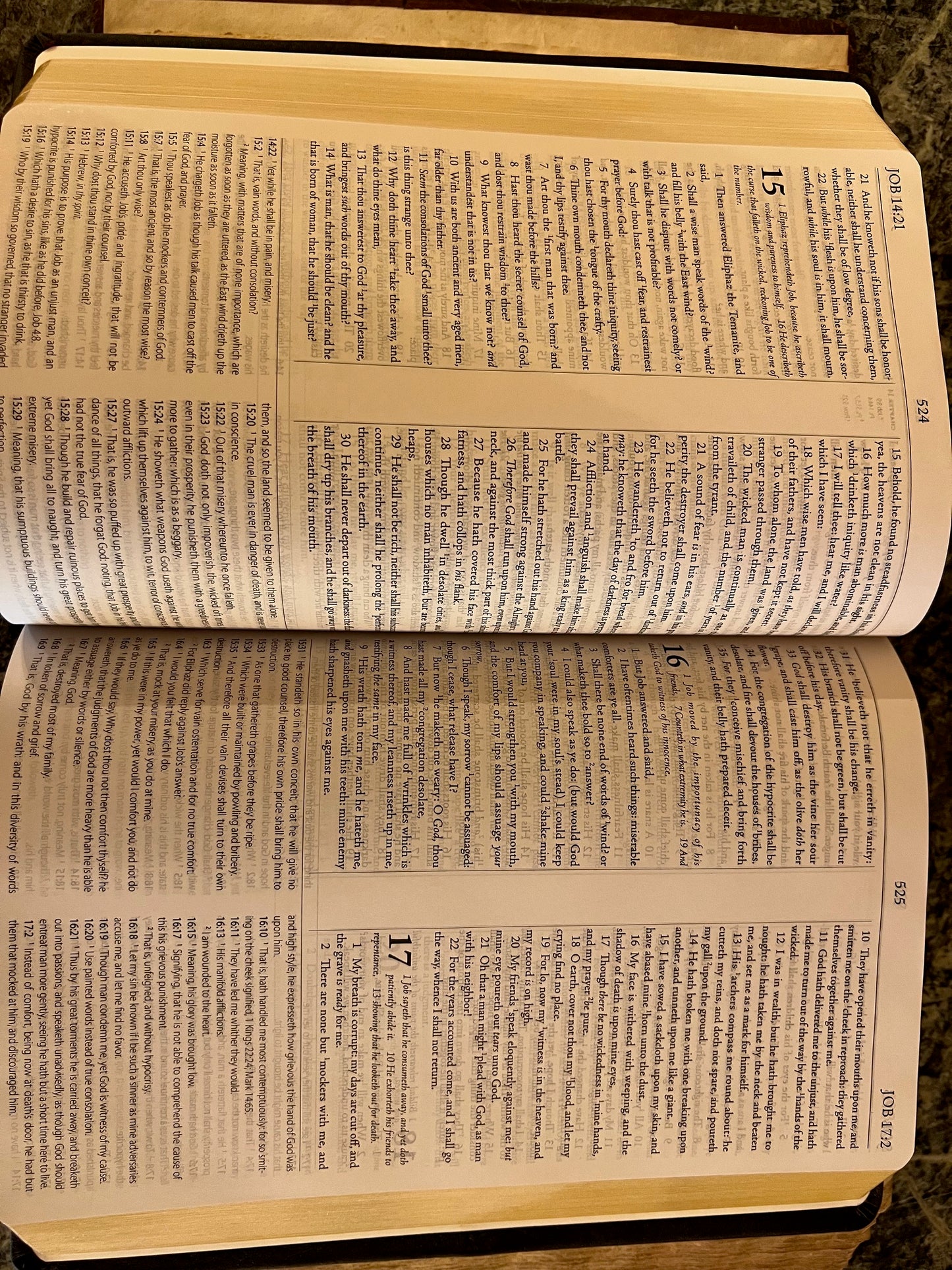 1599 Geneva Bible Leather Bounded Edition