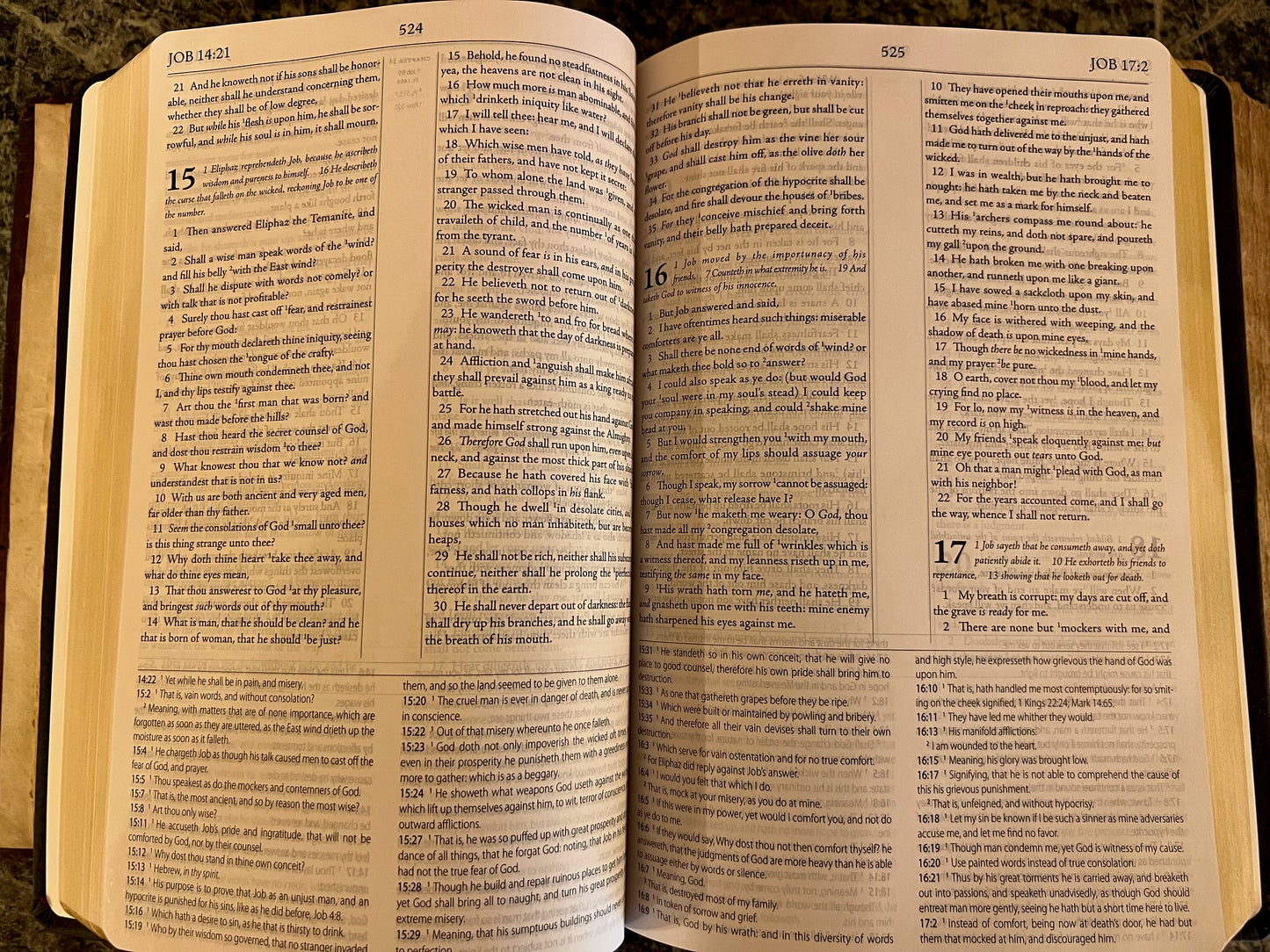 1599 Geneva Bible Leather Bounded Edition