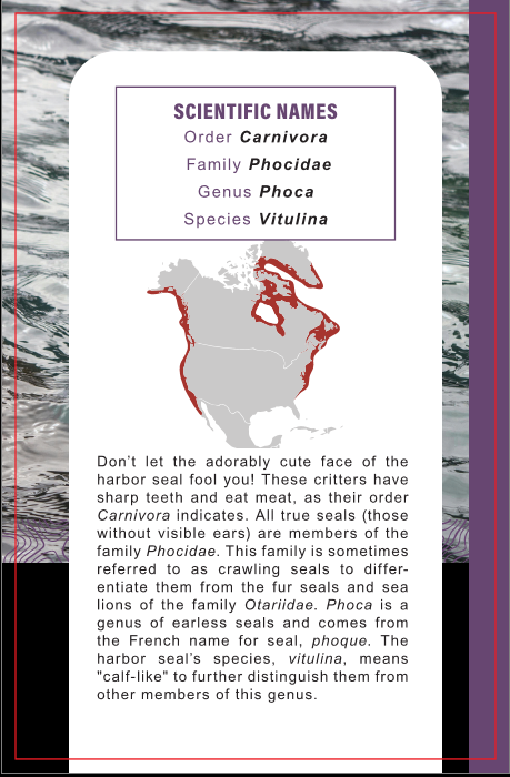 Fascinating Facts: A Pocket Guide to the Zoo: Volume 2: North America