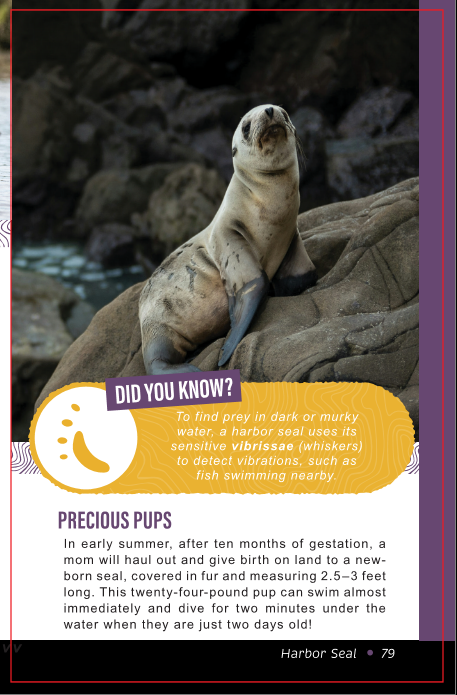 Fascinating Facts: A Pocket Guide to the Zoo: Volume 2: North America
